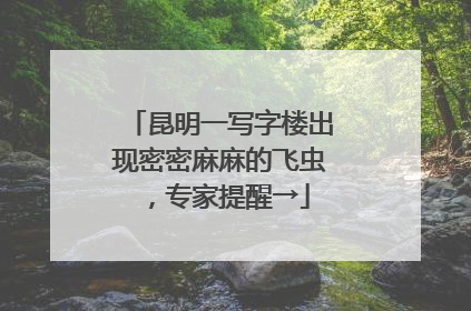 昆明一写字楼出现密密麻麻的飞虫，专家提醒→