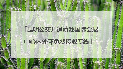 昆明公交开通滇池国际会展中心内外环免费接驳专线