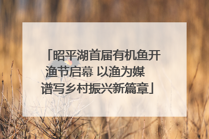 昭平湖首届有机鱼开渔节启幕 以渔为媒 谱写乡村振兴新篇章
