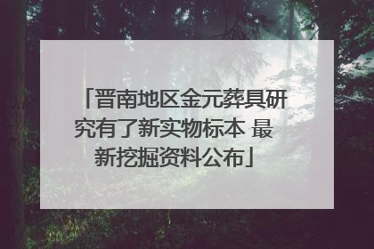 晋南地区金元葬具研究有了新实物标本 最新挖掘资料公布