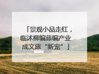 景观小品走红，临沭柳编藤编产业成文旅“新宠”