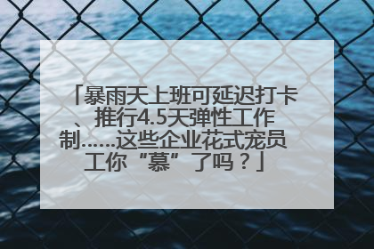 暴雨天上班可延迟打卡、推行4.5天弹性工作制……这些企业花式宠员工你“慕”了吗？