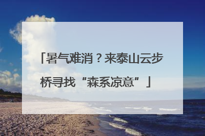 暑气难消？来泰山云步桥寻找“森系凉意”