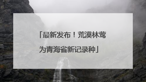 最新发布！荒漠林莺为青海省新记录种
