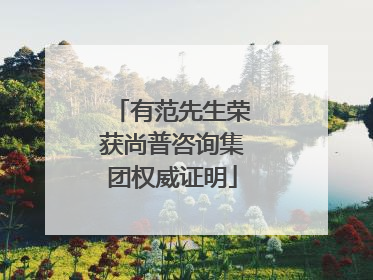 有范先生荣获尚普咨询集团权威证明