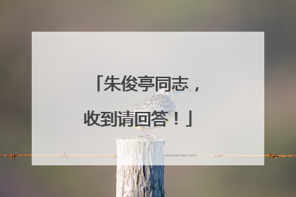朱俊亭同志，收到请回答！