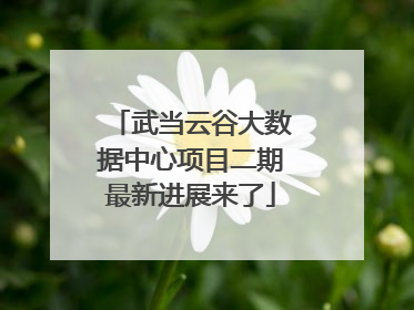 武当云谷大数据中心项目二期最新进展来了