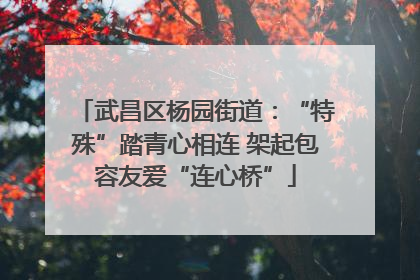 武昌区杨园街道：“特殊”踏青心相连 架起包容友爱“连心桥”