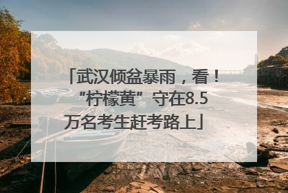 武汉倾盆暴雨，看！“柠檬黄”守在8.5万名考生赶考路上