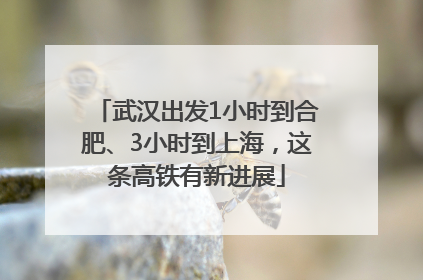 武汉出发1小时到合肥、3小时到上海，这条高铁有新进展