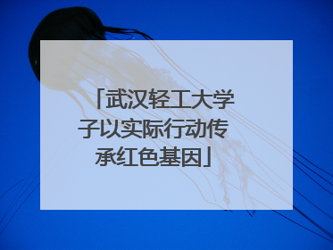 武汉轻工大学子以实际行动传承红色基因