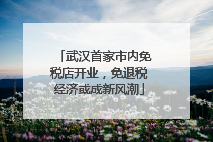 武汉首家市内免税店开业，免退税经济或成新风潮