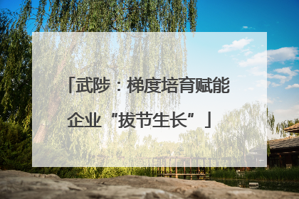 武陟：梯度培育赋能企业“拔节生长”
