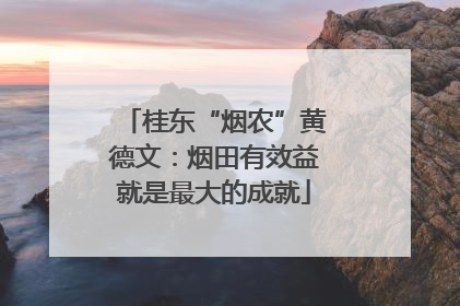 桂东“烟农”黄德文：烟田有效益就是最大的成就