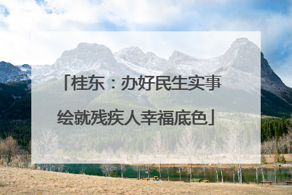 桂东：办好民生实事 绘就残疾人幸福底色