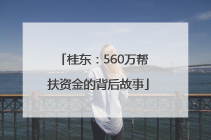 桂东：560万帮扶资金的背后故事
