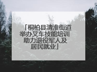 桐柏县清淮街道举办叉车技能培训 助力退役军人及居民就业