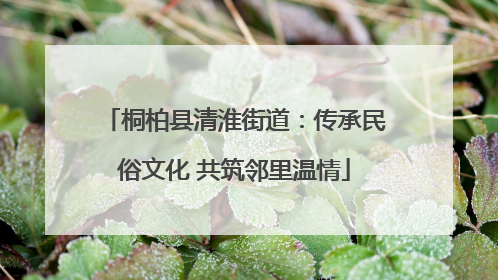 桐柏县清淮街道：传承民俗文化 共筑邻里温情