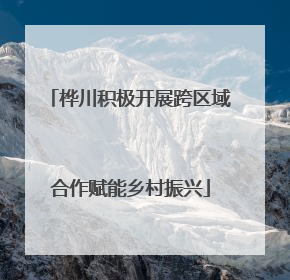 桦川积极开展跨区域合作赋能乡村振兴