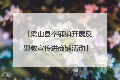 梁山县拳铺镇开展反邪教宣传进商铺活动