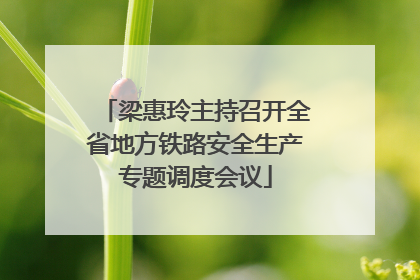 梁惠玲主持召开全省地方铁路安全生产专题调度会议