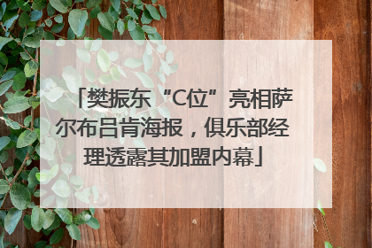 樊振东“C位”亮相萨尔布吕肯海报，俱乐部经理透露其加盟内幕