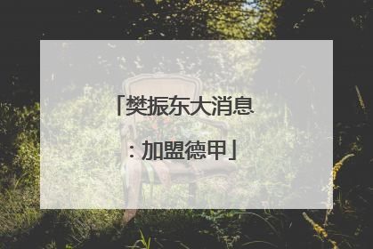 樊振东大消息：加盟德甲