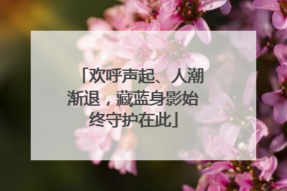 欢呼声起、人潮渐退，藏蓝身影始终守护在此
