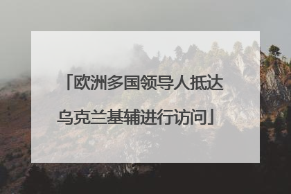 欧洲多国领导人抵达乌克兰基辅进行访问