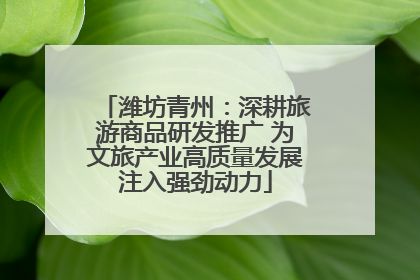 潍坊青州：深耕旅游商品研发推广 为文旅产业高质量发展注入强劲动力