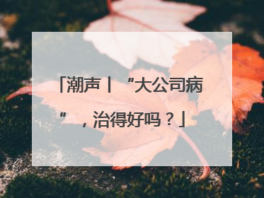 潮声丨“大公司病”，治得好吗？