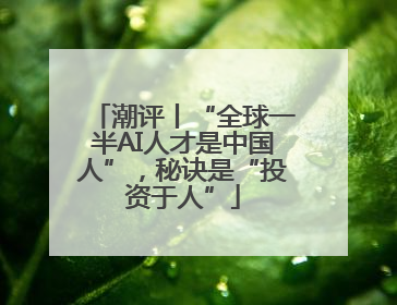 潮评丨“全球一半AI人才是中国人”，秘诀是“投资于人”