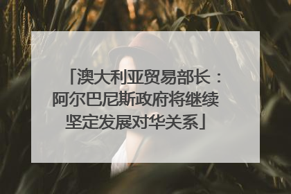 澳大利亚贸易部长：阿尔巴尼斯政府将继续坚定发展对华关系