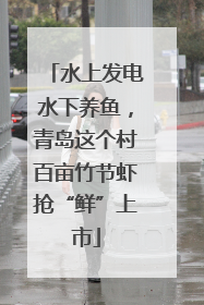 水上发电水下养鱼，青岛这个村百亩竹节虾抢“鲜”上市