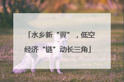 水乡新“翼”，低空经济“链”动长三角