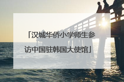 汉城华侨小学师生参访中国驻韩国大使馆