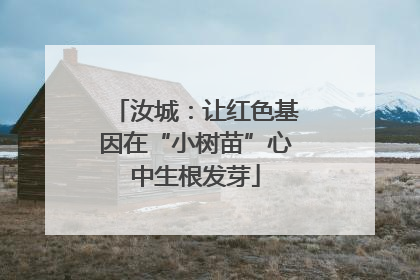 汝城：让红色基因在“小树苗”心中生根发芽