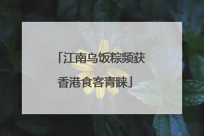 江南乌饭粽频获香港食客青睐