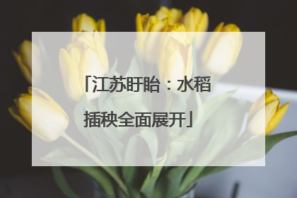 江苏盱眙：水稻插秧全面展开
