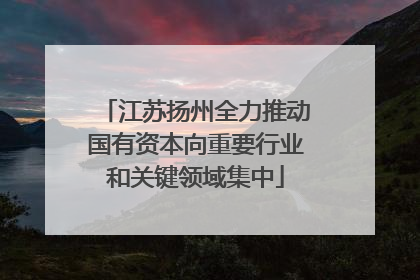 江苏扬州全力推动国有资本向重要行业和关键领域集中