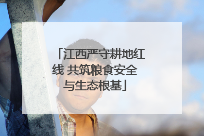 江西严守耕地红线 共筑粮食安全与生态根基