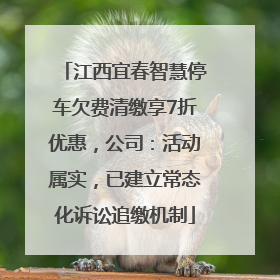 江西宜春智慧停车欠费清缴享7折优惠，公司：活动属实，已建立常态化诉讼追缴机制