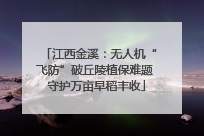 江西金溪：无人机“飞防”破丘陵植保难题 守护万亩早稻丰收