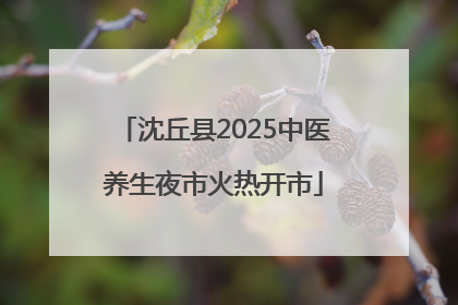 沈丘县2025中医养生夜市火热开市