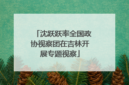 沈跃跃率全国政协视察团在吉林开展专题视察