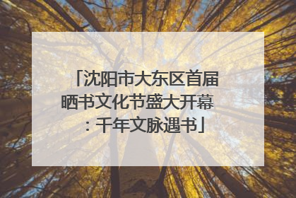 沈阳市大东区首届晒书文化节盛大开幕：千年文脉遇书