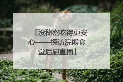 没秘密吃得更安心——探访浣熊食堂后厨直播