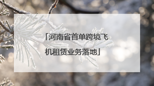 河南省首单跨境飞机租赁业务落地