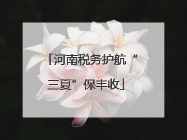 河南税务护航“三夏”保丰收
