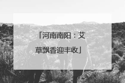 河南南阳：艾草飘香迎丰收